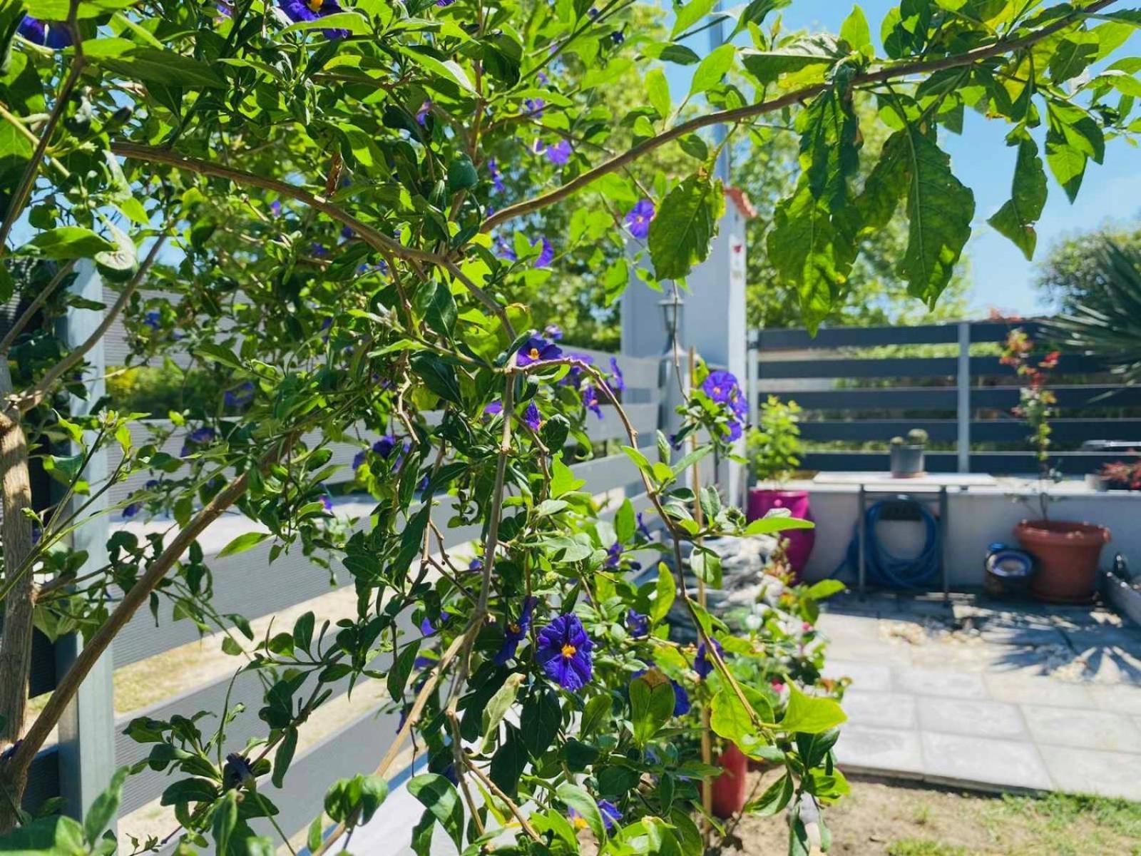 Artemida Suites Hanioti Exteriör bild